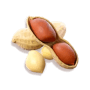 Nuts